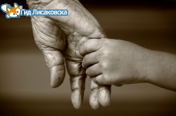 Статистика Лисаковска Статистика Лисаковска