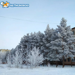 О погоде в Лисаковске 26 декабря