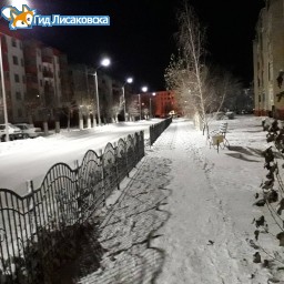 О погоде в Лисаковске 16 ноября О погоде в Лисаковске 16 ноября