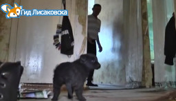 Заблудившийся в пургу рыбак рассказал, как выжил в экстремальных условиях Заблудившийся в пургу рыбак рассказал, как выжил в экстремальных условиях