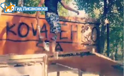 В Лисаковске снесли дом на дереве