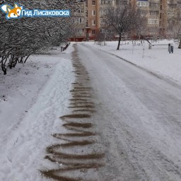 О погоде в Лисаковске 20 ноября