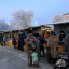 График сельскохозяйственных ярмарок-2019 утвердили в Лисаковске