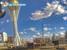 Голый мужчина гулял по улице Лисаковска Голый мужчина гулял по улице Лисаковска