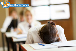 МОН РК прокомментировало слухи о продлении учебного года для 11-классников