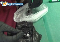 В городе Лисаковск оперативниками задержана закладчица наркотиков В городе Лисаковск оперативниками задержана закладчица наркотиков