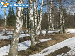 О погоде в Лисаковске 14 апреля