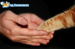 В Лисаковске стартовала благотворительная акция «Делай добро».