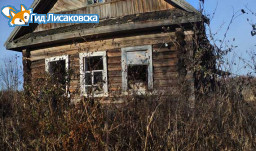 В Лисаковске безвозмездно выдают землю под дачу В Лисаковске безвозмездно выдают землю под дачу