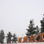 О погоде в Лисаковске 12 декабря
