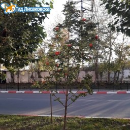 О погоде в Лисаковске 25 октября О погоде в Лисаковске 25 октября