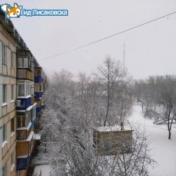 О погоде в Лисаковске 11 ноября