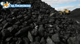 Дешевого угля нам хватит на 300 лет - Альберт Рау