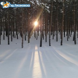 О погоде в Лисаковске 4 февраля О погоде в Лисаковске 4 февраля