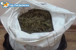 28-летний житель Лисаковска организовал преступную группу 28-летний житель Лисаковска организовал преступную группу