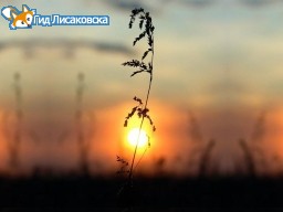 Линия жизни