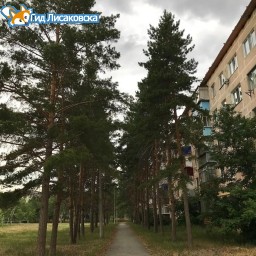 О погоде в Лисаковске 2 июля О погоде в Лисаковске 2 июля