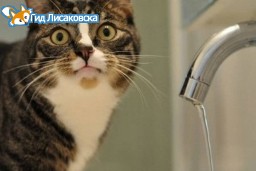 Лисаковск остался без воды и отопления Лисаковск остался без воды и отопления