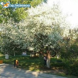 О погоде в Лисаковске на субботу 20 мая О погоде в Лисаковске на субботу 20 мая