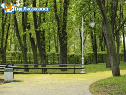 В Лисаковске может появиться новый сквер В Лисаковске может появиться новый сквер