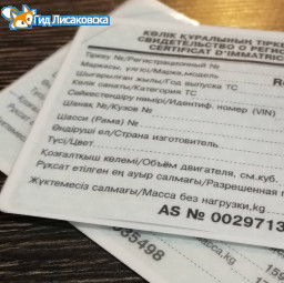 В Казахстане с 1 июля заработают новые паспорта для автомобилей В Казахстане с 1 июля заработают новые паспорта для автомобилей