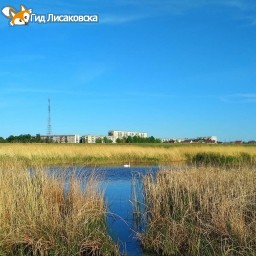 О погоде в Лисаковске 25 сентября О погоде в Лисаковске 25 сентября