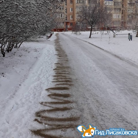 О погоде в Лисаковске 20 ноября
